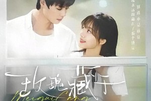 柯淳新剧《玫瑰藏于盛夏》：BE美学天花板引爆泪腺